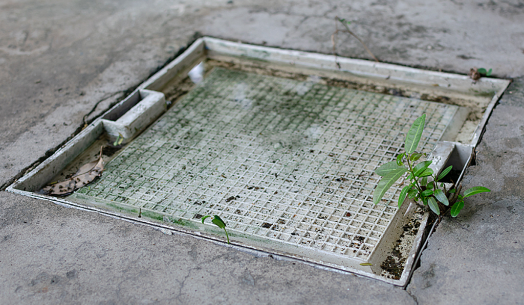 Grease trap access cover installed in a commercial concrete surface for wastewater management.